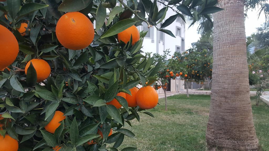 Green Garden Otel Kemer Exterior foto